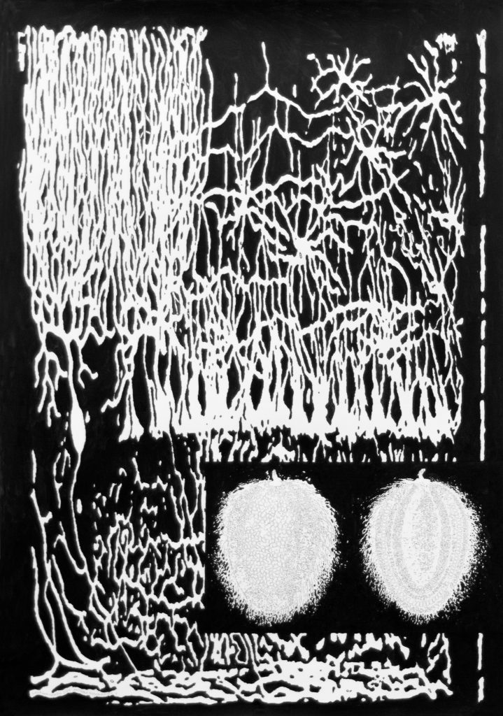 Simon Goritschnig, Pattern Recognition X, tuš na papirju, 70cm x 100cm, 2019
